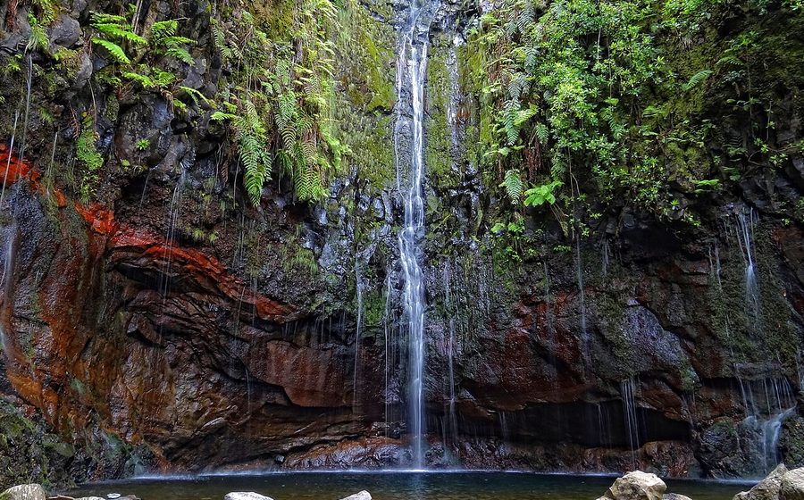 The mossy waterfall wall at 25 Fontes